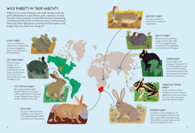 Load image into Gallery viewer, Rabbitology
