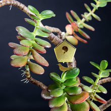 Load image into Gallery viewer, Tiny Birdhouse for your plants
