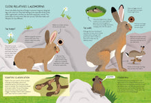 Load image into Gallery viewer, Rabbitology
