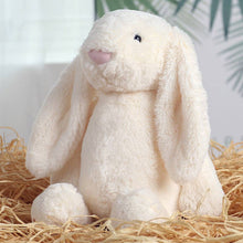 Load image into Gallery viewer, Bunny Plush
