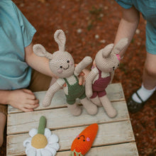 Load image into Gallery viewer, Springtime Easter Bunny in Suspenders - Crochet Plush
