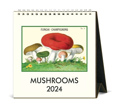 Mushrooms 2024 Cavallini Desk Calendar