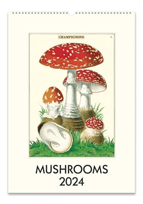 Mushrooms 2024 Cavallini Wall Calendar
