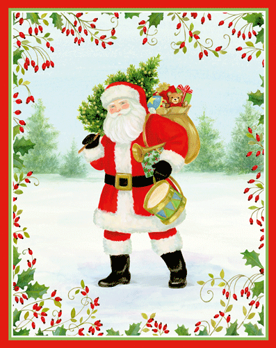 Santa with Botanical Border Caspari Boxed Christmas Cards