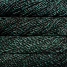 Load image into Gallery viewer, Malabrigo Vientos
