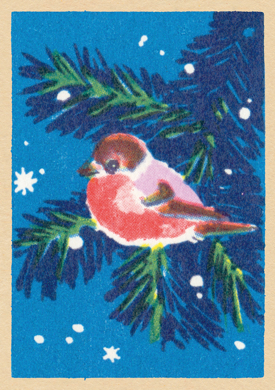 Bird on Evergreen Branch - Set of 5 Cards