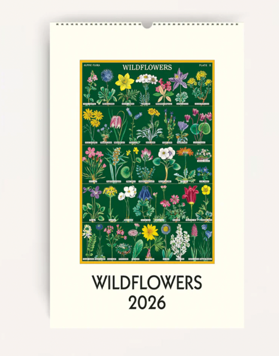 Wildflowers 2026 Cavallini Wall Calendar