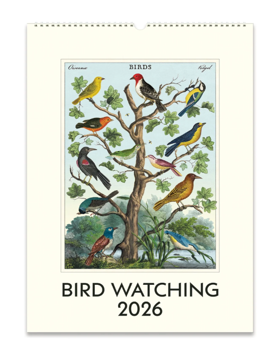 Bird Watching 2026 Cavallini Wall Calendar