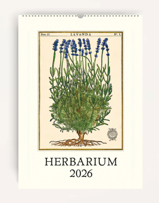 Herbarium 2026 Cavallini Wall Calendar