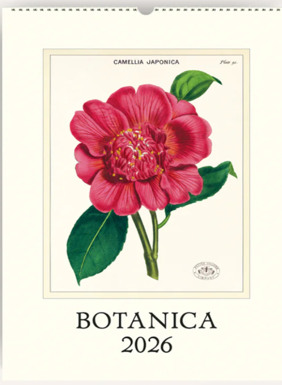 Botanica 2026 Cavallini Wall Calendar