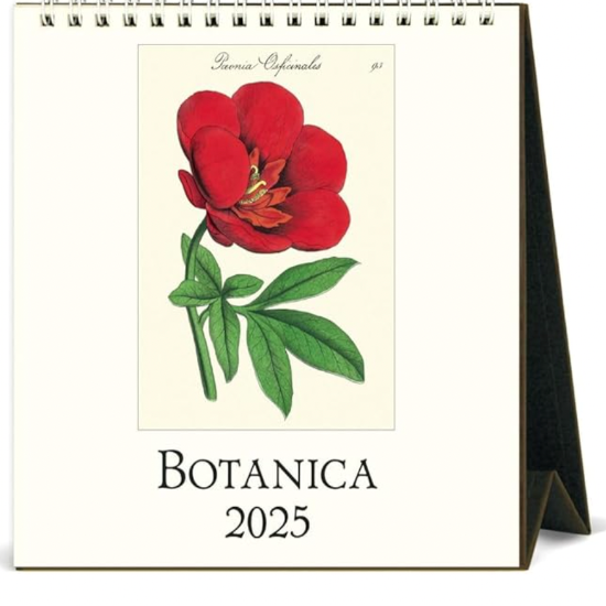 Botanica 2026 Cavallini Desk Calendar