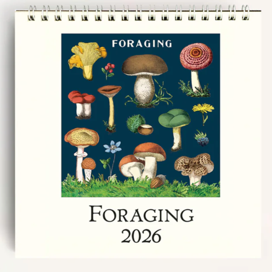 Foraging 2026 Cavallini Desk Calendar