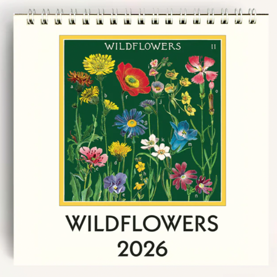 Wildflowers 2026 Cavallini Desk Calendar