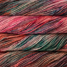 Load image into Gallery viewer, Malabrigo Vientos

