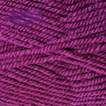 Load image into Gallery viewer, Encore Worsted
