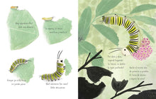 Load image into Gallery viewer, La monarca (The Monarch) by Kirsten Hall
