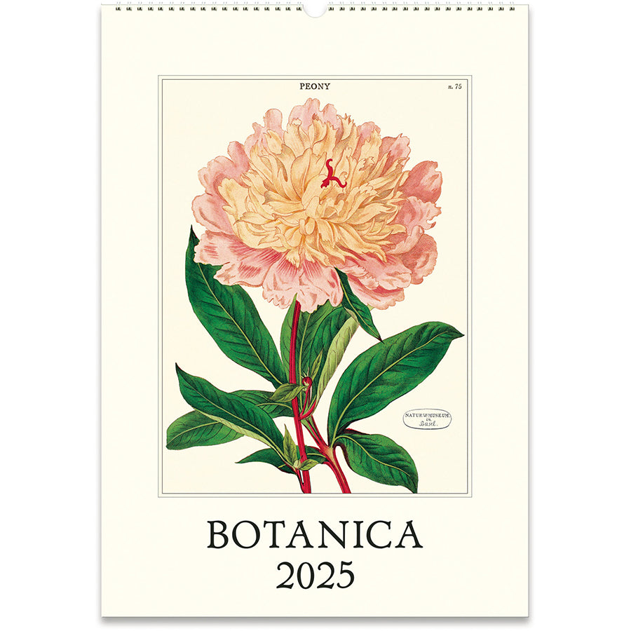 Botanica 2025 Cavallini Wall Calendar