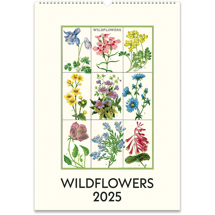 Wildflowers 2025 Cavallini Wall Calendar