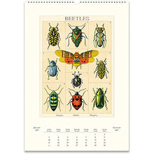 Load image into Gallery viewer, Entomology 2027 Cavallini Wall Calendar
