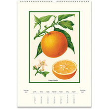 Load image into Gallery viewer, Farmer's Market 2027 Cavallini Wall Calendar
