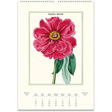 Load image into Gallery viewer, Botanica 2027 Cavallini Wall Calendar
