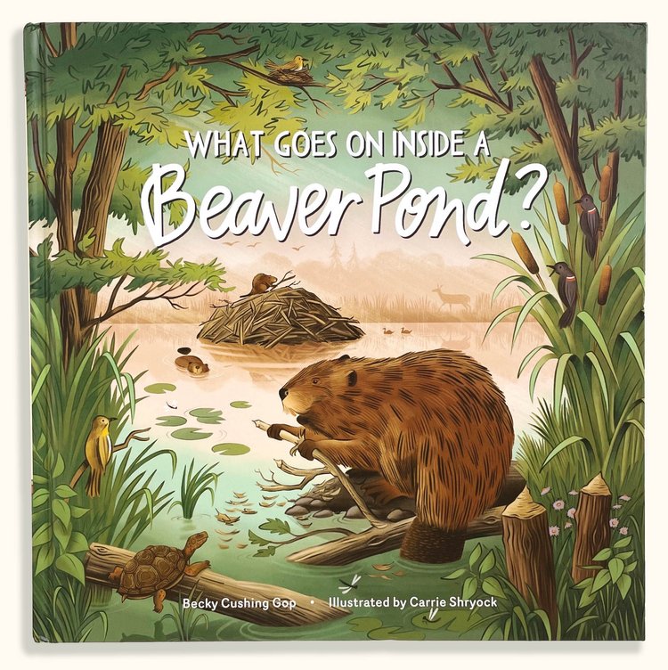 What Goes On Inside a Beaver Pond?