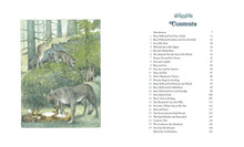 Load image into Gallery viewer, An Illustrated Collection of Nordic Animal Tales
