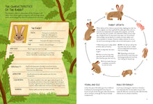 Load image into Gallery viewer, Rabbitology
