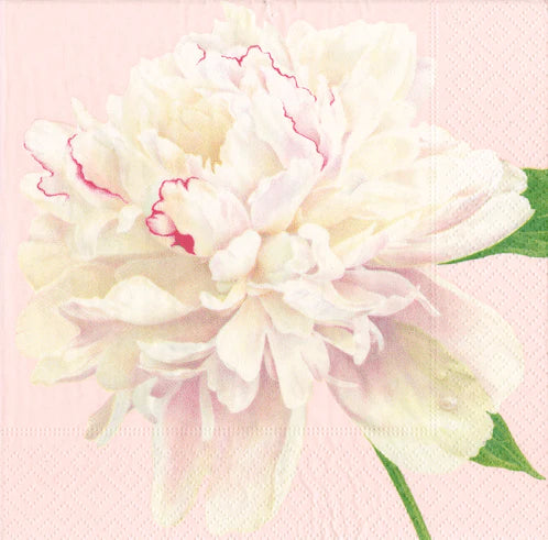 Duchess Peonies Blush Dinner Napkins Caspari