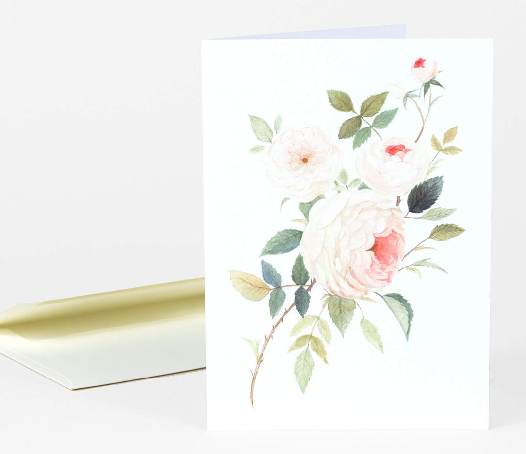 A Rose for William Morris Card - Emily Winfield Martin