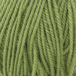 Load image into Gallery viewer, Encore Worsted
