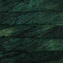 Load image into Gallery viewer, Malabrigo Arroyo
