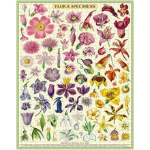 Load image into Gallery viewer, Flora Specimens, 1,000 Piece Puzzle - Cavallini
