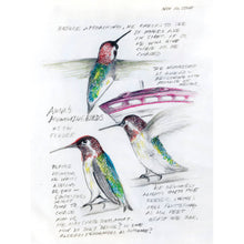 Load image into Gallery viewer, Backyard Bird Chronicals by Amy Tan
