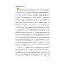 Load image into Gallery viewer, Backyard Bird Chronicals by Amy Tan
