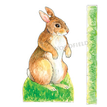 Load image into Gallery viewer, Lou-Lou Rabbit Paper Doll Kit – Woodfield Press
