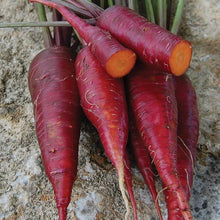 Load image into Gallery viewer, Root Vegetable Seeds
