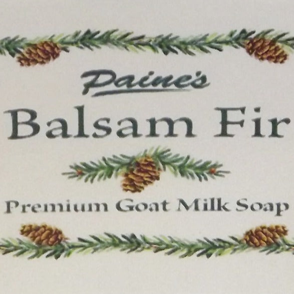 Balsam Fir Goat Milk Soap