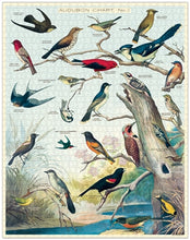 Load image into Gallery viewer, Audubon Birds 1000 Piece Puzzle
