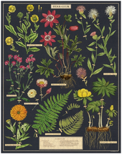 Load image into Gallery viewer, Herbarium 1,000 Piece Puzzle

