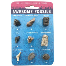 Load image into Gallery viewer, Copernicus Toys - CC: FOSSIL CARD
