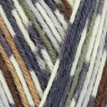 Load image into Gallery viewer, Signature 4-Ply Sock Yarn-West Yorkshire Spinners
