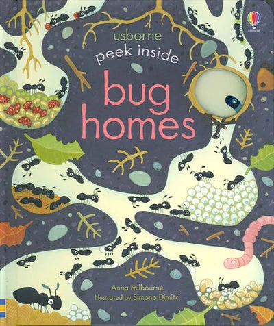 Peek Inside Bug Homes