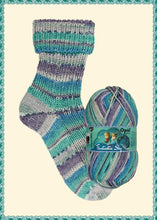 Load image into Gallery viewer, Opal Yarn - 6 Ply Sock Yarn
